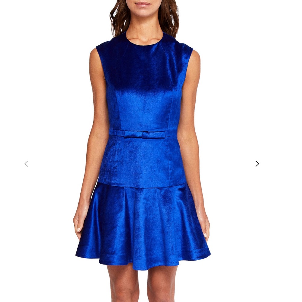 Ted Baker Maryann velvet ruffle hem dress.